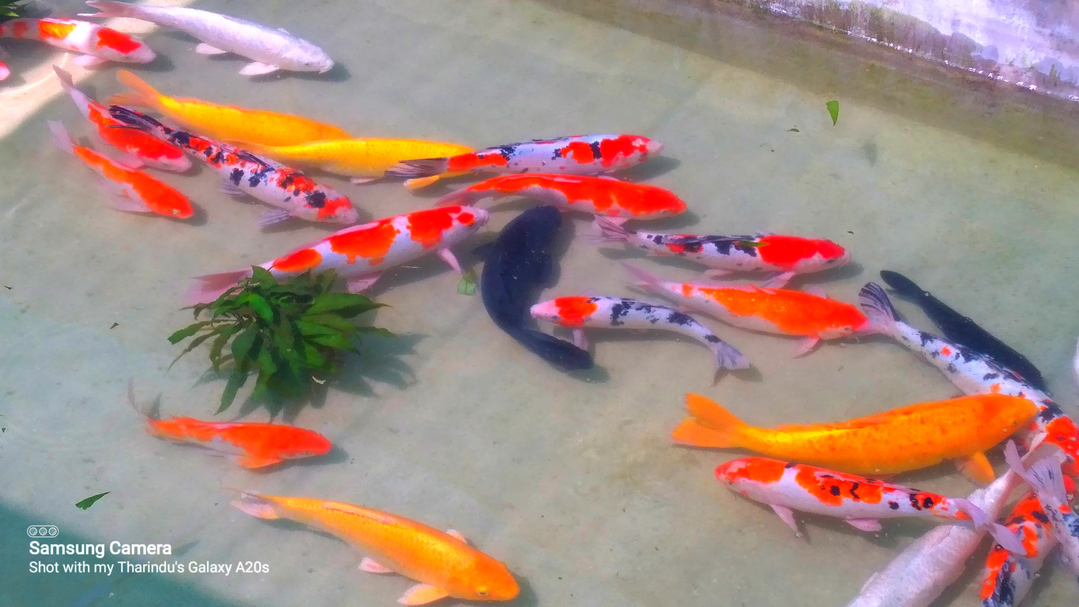 Natural Water Supply