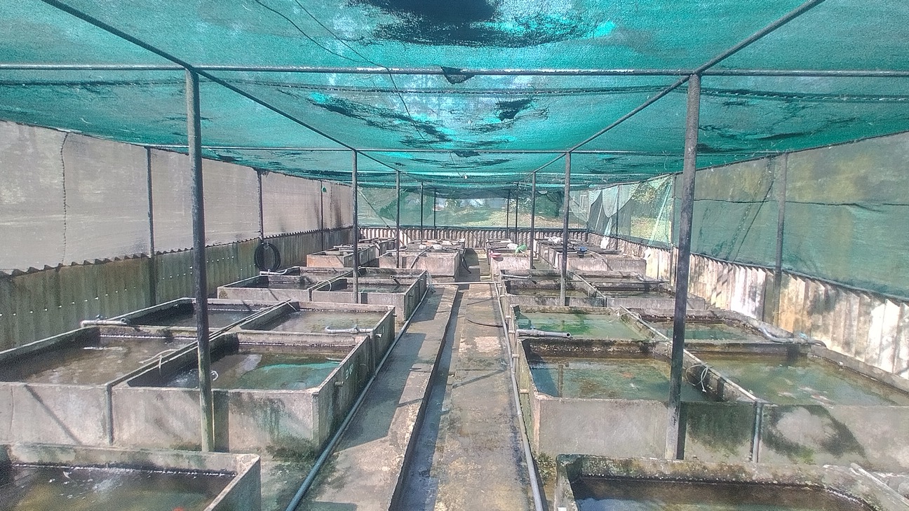 Quarantine Area