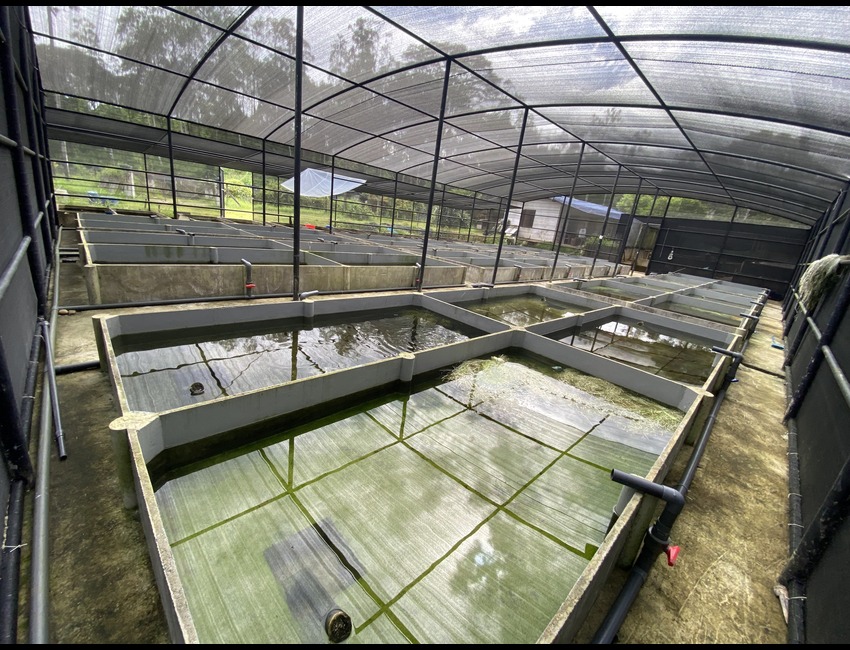 Breeding Facility